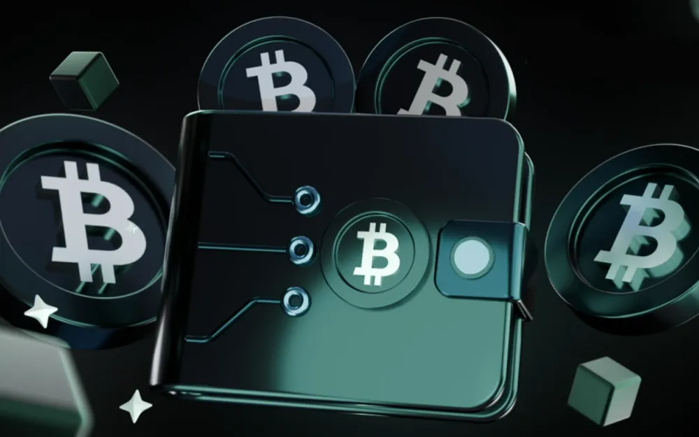 Что такое горячие и холодные криптокошельки?