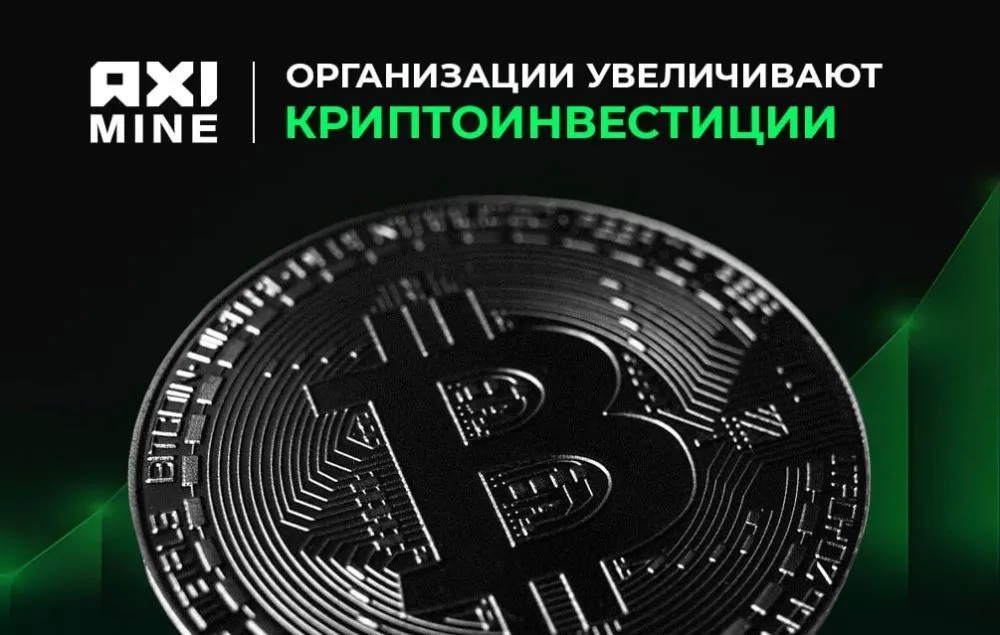  Более 60% организаций увеличат криптоинвестиции, несмотря на спад