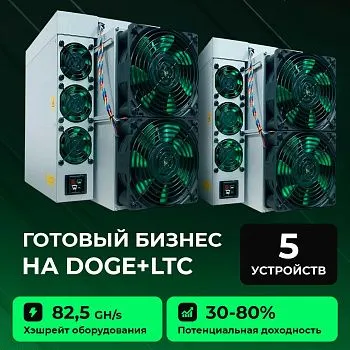 Готовый бизнес на LTC+DOGE 5 устройств